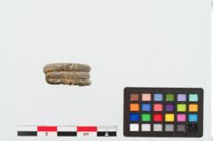 Foto von Bleiring (NHMW-PRAE-024891)